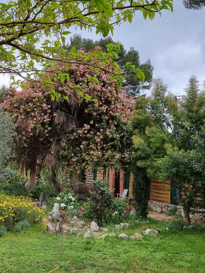 Mas D'Azur Bed and Breakfast Roquefort-les-Pins Εξωτερικό φωτογραφία
