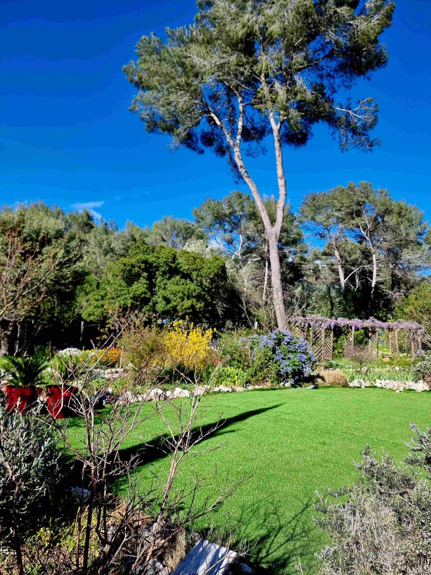 Mas D'Azur Bed and Breakfast Roquefort-les-Pins Εξωτερικό φωτογραφία