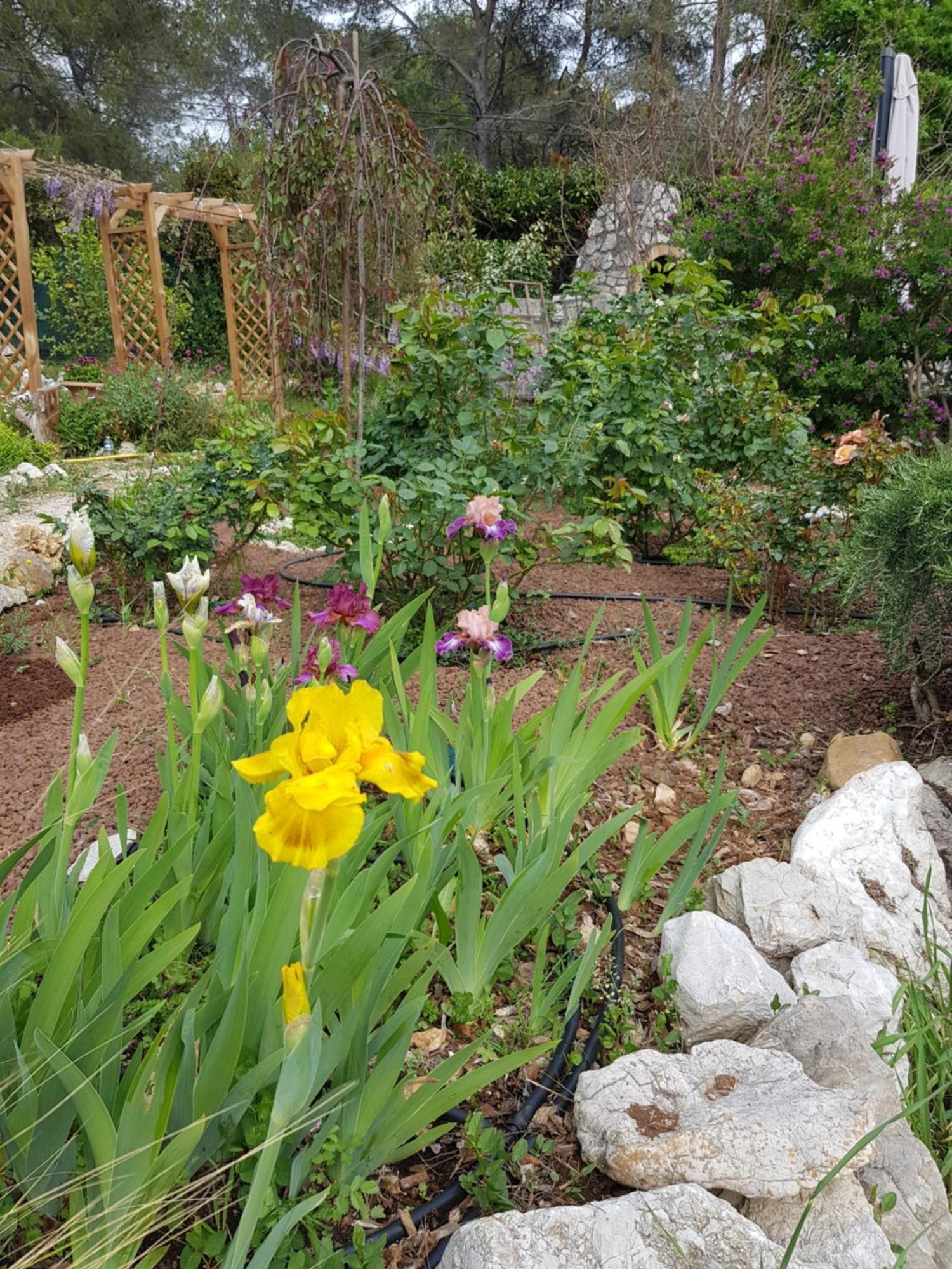 Mas D'Azur Bed and Breakfast Roquefort-les-Pins Εξωτερικό φωτογραφία