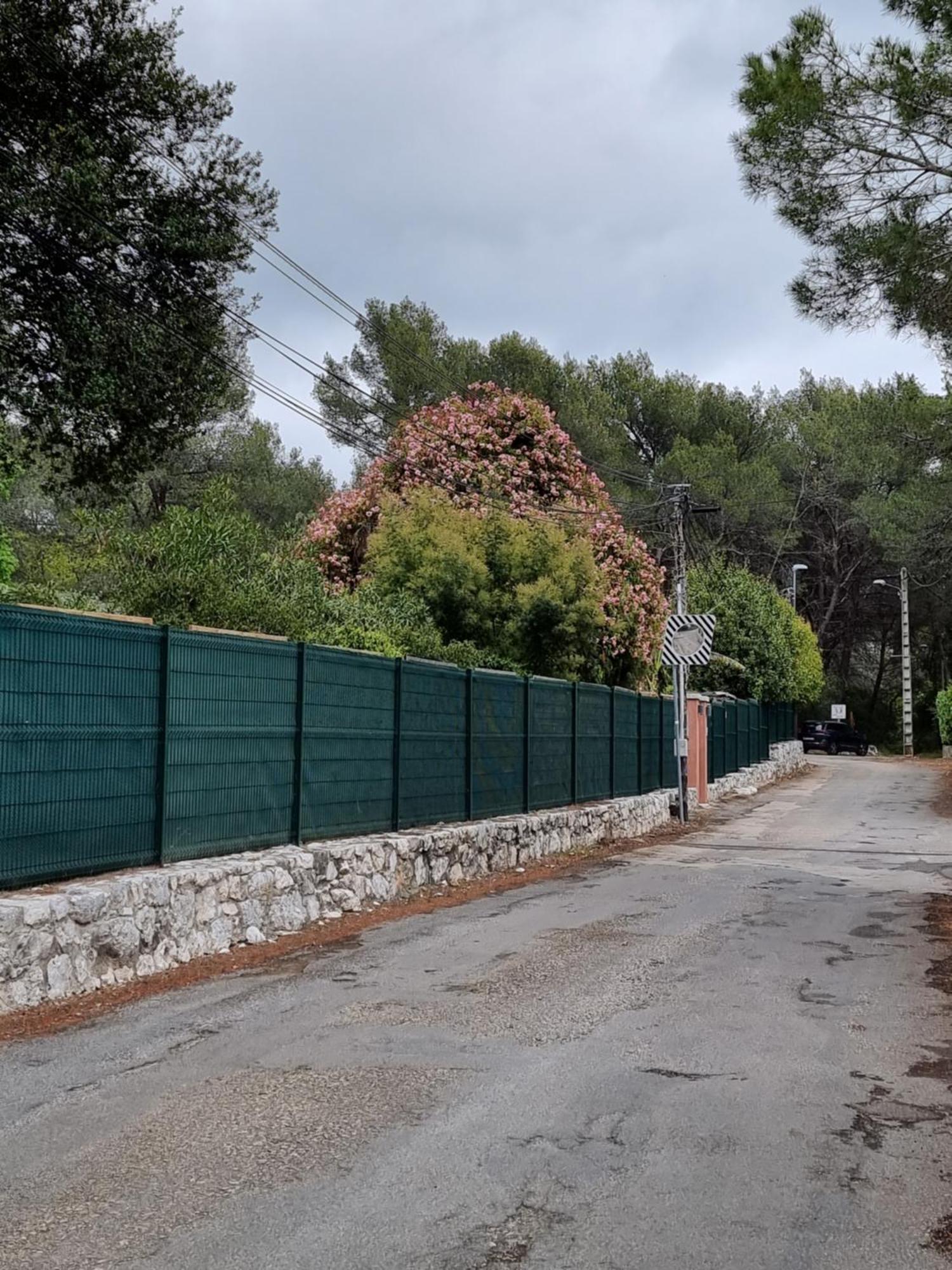 Mas D'Azur Bed and Breakfast Roquefort-les-Pins Δωμάτιο φωτογραφία